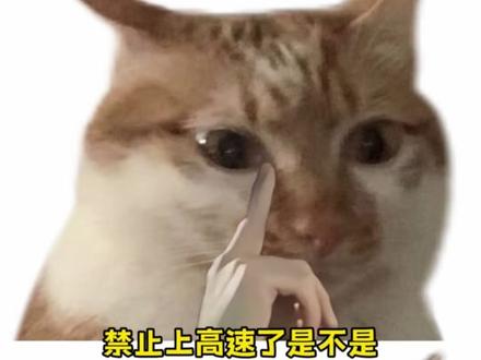 收费员:哥们,我只能帮你到这了#高速 #交通安全 #万万没想到 #反转