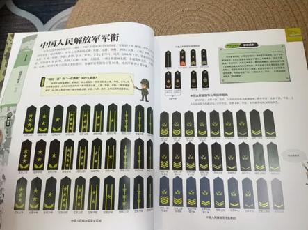 不带杠只有金星的,是将官。从三颗星到一颗星分别是上将、中将、少将;两杠带星是校官,从两杠四星到两杠一星分别是大校、上校、中校、少校;一杠带星是尉官,从一杠三星到一杠一星分别是上尉、中尉、少尉。#涨知识 #读书成长 #好书分享