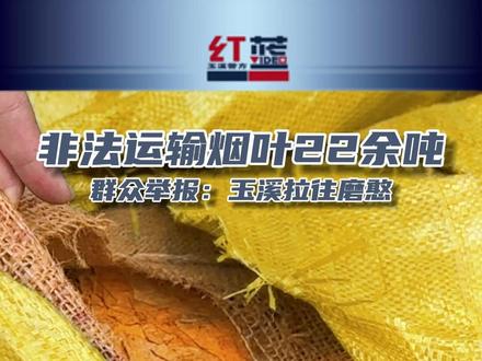 为何那么多司机明知故犯?