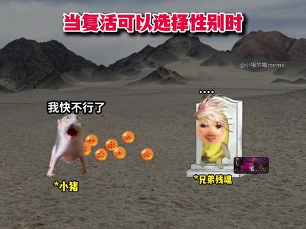 当我集齐七龙珠复活兄弟时 #猫meme #dnf手游 #DNF手游二周年庆 #DNF手游二周年发布会