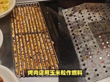 烤肉店用玉米粒作燃料,网友炸锅了,是浪费粮食还是另有隐情? #玉米 #粮食