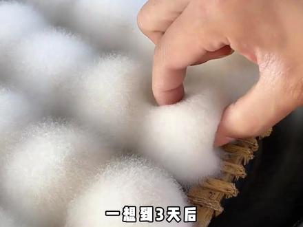 姐妹们买来都是玩的还是吃的!#霉豆腐 #手工霉豆腐 #手工 #玩个很新的东西