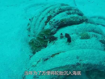 美国将轮胎沉入海底后,如今却十分后悔,这是为什么? #科普一下 #涨知识