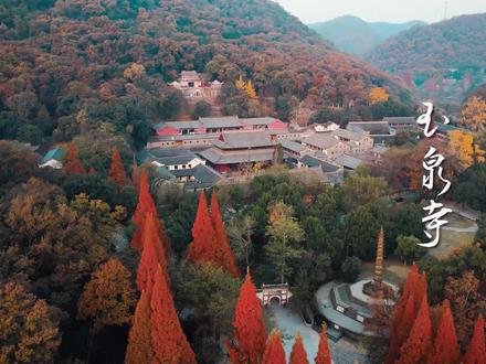 千年古刹铁塔,遇见便是上上签 #宜昌玉泉寺 #寺庙 #每一帧都是热爱