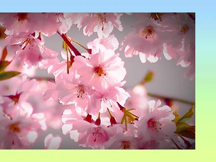 剪辑教程| 做视频暗角的三种方式 #视频剪辑教程 #剪辑教程 #视频教程