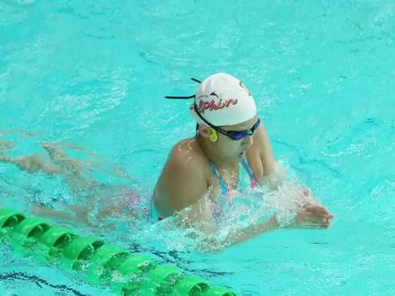 #游泳冷知识 游泳比赛中,蛙泳比赛有哪些规定?#游泳比赛 #竞技体育 #蛙泳