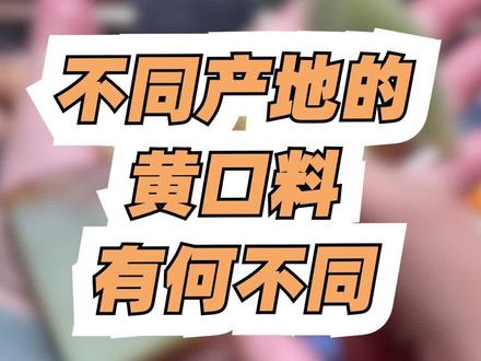 你能分清这些黄口料吗?不同产地的黄口都有哪些特征呢?#和田玉籽料 #和田玉 #黄口 #玉石