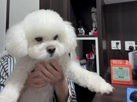 摔炮枪测评➕王果汁非要出镜。。。#鞭炮 #摔炮 #摔炮枪 小朋友玩耍请一定注意安全!!!
(玩够了,枪谁要,免费送😂摔炮还剩大半盒子,也送了)