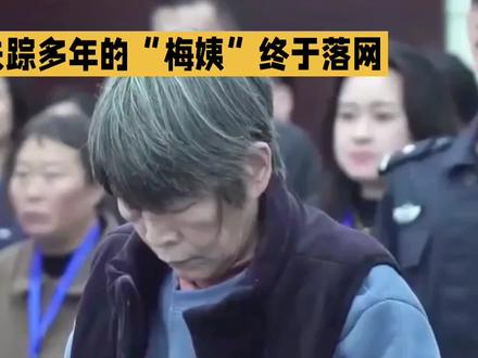 失踪多年的梅姨终于落网