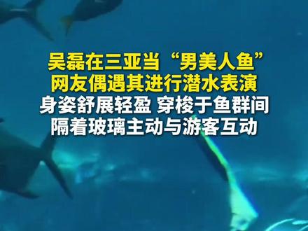 #吴磊 在#三亚 化身“#美人鱼 ”和游客互动。#主播说新闻