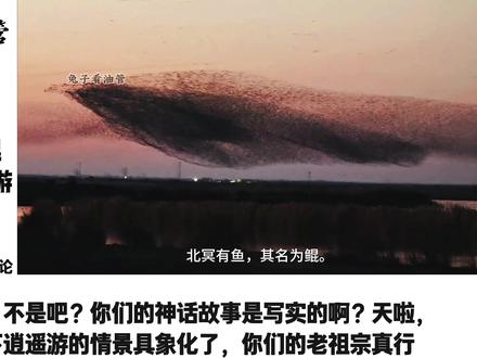 山东·东营,万鸟迁徙化巨鲲,庄子逍遥游笔下的鲲具象化了!热评:他们的祖宗从不骗人!#巨鲲 #鸟类 #迁徙 #瓜子二手车