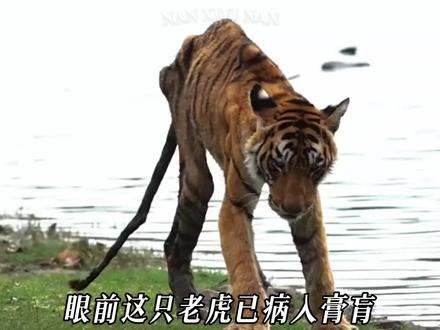 晚安,箭头,泪崩ing,😂
