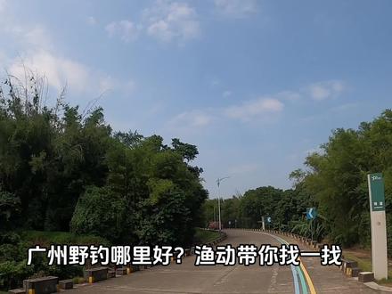 广州野钓哪里好?推荐一个出大货有惊喜的好钓点,停车方便不晒太阳,水质清澈环境优美,3.0的主线很容易切线噢!#钓鱼 #野钓 #广州野钓去哪里 #广州野钓 #钓鱼人