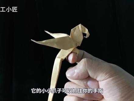 【折纸】教你折一只小鹦鹉,和真鹦鹉放一起,会发生什么?