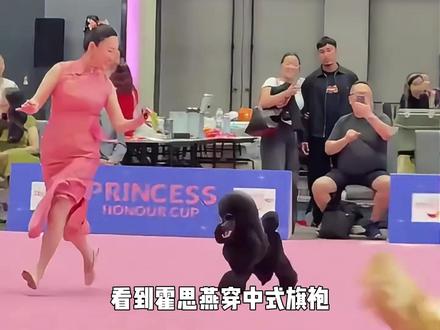 因为狗狗 我对她永远有滤镜#霍思燕 #犬展 #比格犬 #杜江 #萌宠