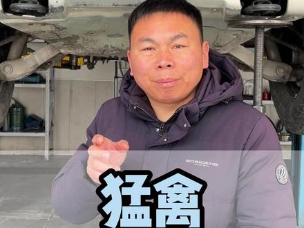 猛禽行驶异响!!! #北京变速箱专修 #汽车保养与维修 #猛禽 #dou上热门 @DOU+小助手