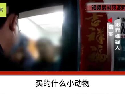 花500块购买两只乌龟当宠物,随后警察就找上了门:这叫牢底坐穿龟!