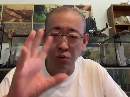 错误的自救操作比毒蛇咬伤更加危险和致命 #毒蛇咬伤基础医学知识 线下就医,谨慎观看