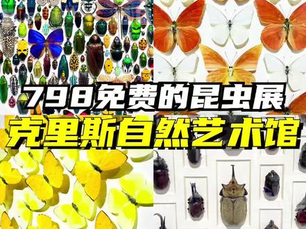 798里的昆虫展!感受大自然的神奇调色盘🎨 免🎫免预约!#北京亲子游玩攻略 #艺术展览 #沉浸式逛艺术新展 #值得一去的博物馆 #看展