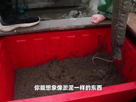 像泥沙一样的美味,到底是虾还是土呢?中华美食真的是博大精深啊,你想象不到的美食#榕江 #潮汕人 #浮游生物