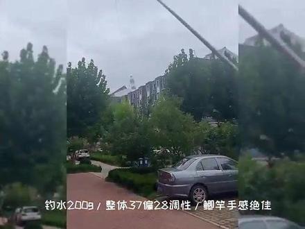 利优比竹彩仙竹振出。仿竹设计。手感好,冬季钓鲫鱼非常棒。店里有售,价格实惠