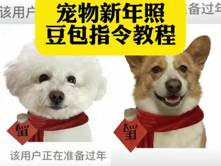 你们要的狗狗新年豆包ai指令教程来了#狗狗新年照 #狗狗ai新年照 #豆包ai #狗狗合照ai指令 豆包狗狗ai生成指令过年 豆包ai生成宠物指令 豆包ai宠物图片指令 狗狗新年豆包ai指令 狗狗合照ai指令狗狗 豆包狗狗过年ai生成指令 豆包ai生成宠物头像 小狗过年豆包口令 狗狗过年ai指令 豆包狗狗过年ai生成指令头像 豆包ai拍力得小狗 豆包双动物ai生成指令过年 该用户正在准备过年头像 该用户正在准备过年小狗口令
