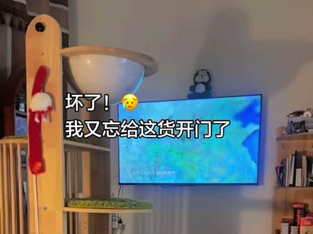 妈妈!快开门!在不开门我骂银了! #猫咪的迷惑行为 #犟种猫咪 #萌宠出道计划 #猫咪的不服全写在脸上 #会说话的汤姆猫 #和周杰伦拍人生大片