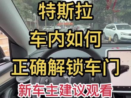 #特斯拉 车内如何正确解锁车门?新车主建议观看,避免尴尬#特斯拉modely #特斯拉model3 #特斯拉使用小技巧 #特斯拉用车小妙招