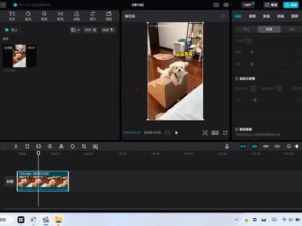 #剪映教学 电脑版剪映小功能分享,自定义抠像,操作和注意点,能扣复杂背景的人物动物汽车等抠像。#自定义抠像 #复杂背景抠图 #电脑版剪映 @DOU+小助手