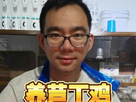 小鸡们可喜欢在新垫料里洗澡了#馆长家的叽言叽语 #芦丁鸡 #萌宠 #网红鸡