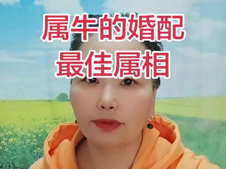 属牛的最佳婚配属相根据传统生肖婚配理论,属牛人的最佳婚配属相如下:属鼠理由:丑牛与子鼠为六合关系,被视为上上等婚配。属牛人踏实稳重,属鼠人聪明机敏,两者性格互补,能相互理解、支持,婚姻生活通常和谐稳定,易积累财富,家庭幸福美满。属蛇理由:丑牛与巳蛇为三合关系,属上等婚配。属牛人务实勤奋,属蛇人智慧冷静,双方都注重实际,能共同为家庭努力,婚姻中默契度高,易实现事业和生活的双丰收。属鸡理由:丑牛与酉鸡为三合关系,也是上等婚配。属牛人严谨踏实,属鸡人勤奋守时,两者在价值观和生活方式上较为契合,能相互欣赏、包容,婚姻生活稳定,易取得事业成功。需注意,生肖婚配更多是一种传统参考,实际婚姻幸福还需双方性格、价值观、沟通能力和相互理解等因素共同决定。