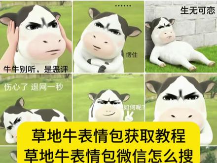 草地牛表情包获取教程 草地牛表情包 牛牛表情包 哞哞表情包 草地牛表情包高清图 奶牛表情包微信搜什么 草地牛为什么突然火了 微信小牛表情包叫什么 草地牛微信怎么搜 微信小牛表情包叫什么 草地牛表情包出自哪 草地牛表情包出自哪里 草地牛的原型 神图壁纸小程序入口 #草地牛 #草地牛表情包 #哞哞牛表情包 #表情包 #神图壁纸