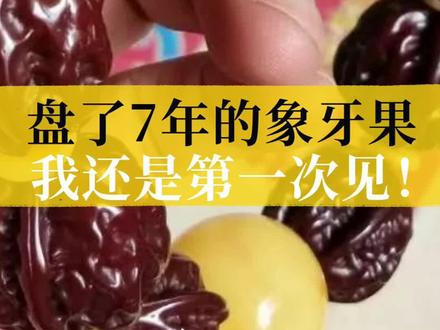 盘了7年的象牙果,我第一次见!#古玩 #鉴宝 #鉴定