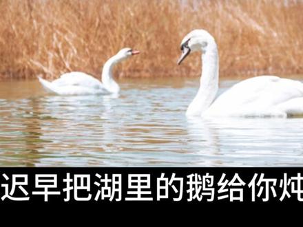 《大型纪录片之河北工程大学》#河北工程大学 #纪录片