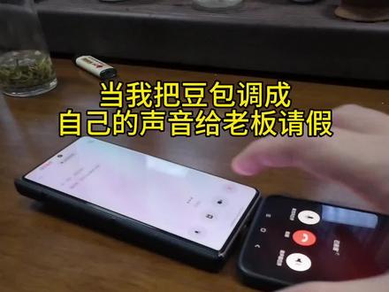 当我想请假就这样#老板 #请假 #豆包