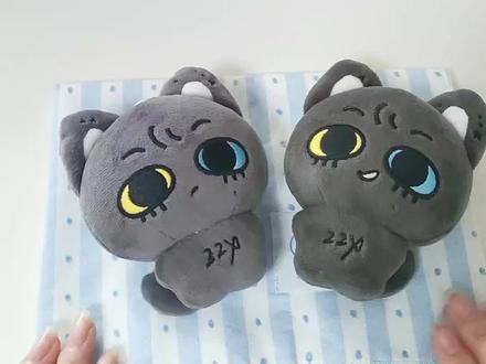 芝麻猫介绍视频一则
#朱志鑫 #10cm动物体 #朱志鑫棉花娃娃