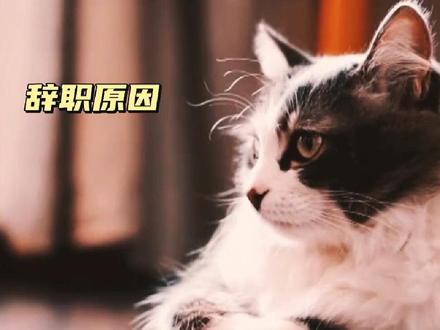 没有生活何谈生活质量呢?#铁路 #辞职