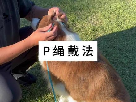 快看看你的p绳带对了没