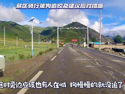 亲身经历藏区被狗追后,总结出来的应对经验,亲测有效,大家可以参考哦。#骑行西藏 #被狗追 #被狗追怎么办 #亲子骑行川藏线 #骑车被狗追