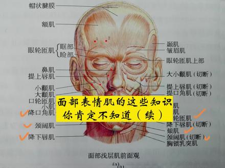 如何还原表情肌动作示例#面瘫