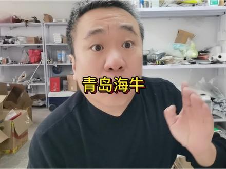 青岛海牛#足球 #山东 #青岛 #青岛海牛 #球迷