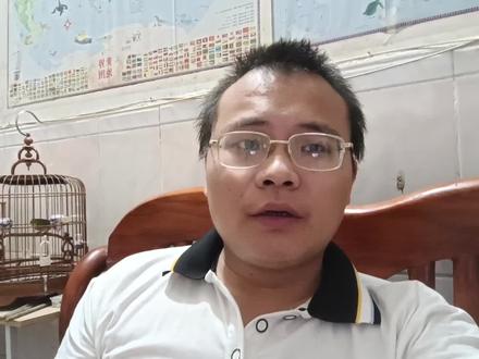 #绣眼鸟 #绣眼鸟经验分享 #养鸟经验分享 暗绿跟灰腹的区别