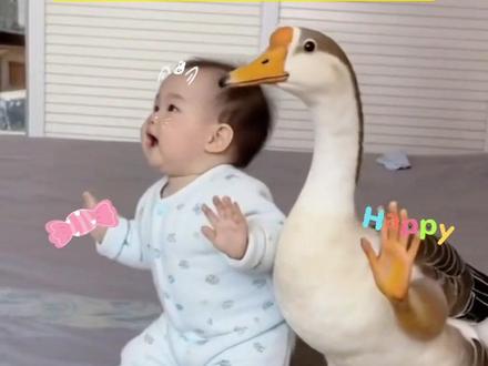 你们要的鸭子步舞蹈AI生成教程来了,Ai跳鸭子舞制作教程 ai鸭子步舞蹈教程 ai跳鸭子步特效入口 鸭子舞步挑战鸭子舞步,Ai跳鸭子步特效生成入口#ai跳鸭子步 #鸭子舞步挑战
#ai鸭子舞#剪映 #AI一键生成跳舞视频 鸭子舞 鸭子跳舞视频教程 ai鸭子舞生成视频 跳鸭子舞的视频 跳舞ai特效一键生成 鸭子舞步ai教程 跳舞特效 鸭子舞步素材 鸭子舞
步教程 特效舞蹈 ai跳鸭子舞 跳鸭子舞的本人 魔性鸭鸭舞 鸭子舞原版完整版 和鸭子一起跳舞特效 跳鸭子舞 鸭子可爱视频 乐逍遥 ai鸭子舞特效教程 ai生成跳鸭
子步
鸭子步ai舞蹈 鸭子步ai跳舞 跳鸭子步ai特效 跳鸭子舞的视频 ai鸦子舞生成视频 人和动物跳舞搞笑视频 跳鸭子舞 ai鸭子舞特效教程 鸭子可爱视频 ai特效浮鸭子小动物跳舞视频怎么制作的 大鹅特效拍同款教程大鹅跳舞的视频 鸭子舞步ai教程 ai跳鸭子步模版 ai跳鸭子步可爱特效 ai跳鸭子步可爱特效 ai跳舞教程 ai生成舞蹈
视频 ai跳舞特效 ai模仿人类舞蹈 ai舞蹈动作教学 ai舞蹈软件推荐 鸭子走路怎么拍特效
挑战 萌娃鸭子步教学 鸭子跳舞视频教程 ai
鸭子舞生成视频 魔性鸭子跳舞 鸭子舞步后背摇 鸭子舞步原版 精彩鸭子舞表演跳舞一键生成鸭子步舞蹈