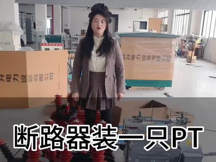 柱上真空断路器,带一只羊角PT的作用你知道吗?#一二次融合成套柱上断路器 #柱上开关 #柱上断路器 #看门狗 #电力抢修