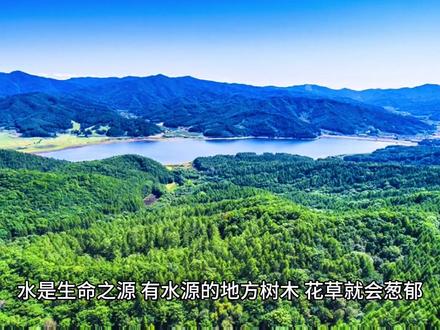#打井钻井 快速带你了解古人的找水源方法,简单有效。#三农 #农业灌溉 #打水井 #抗旱