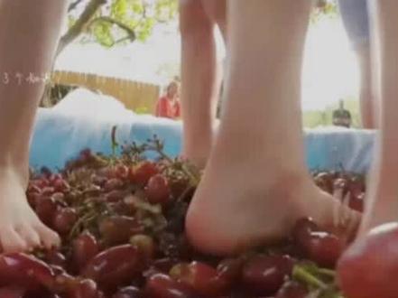 #葡萄酒知识 #科普知识 脚丫子踩……