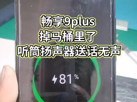 畅享9plus掉马桶,听筒扬声器送话无声,不充电,完美解决 #手机维修 #手机换屏 #手机换电池 #手机进水维
