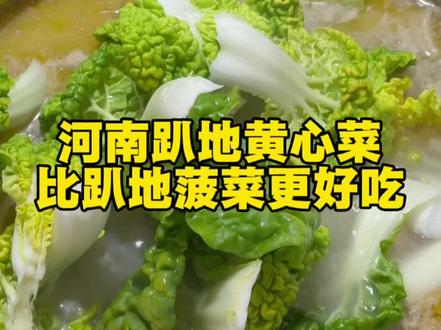 今天拿趴地黄心菜烫火锅吃了,很棒!第一次吃它,非常好吃的蔬菜,嫩嫩的,微微甜!下次按照网友说的其他做法做来试试!#趴地黄心菜