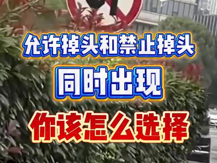 允许掉头和禁止掉头同时出现,你该怎么选择?#汽车冷知识 #行车知识 #汽车知识 #驾驶技巧 #用车知识