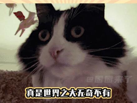 这绝对是我今年听过最炸裂的事了#炸裂